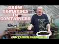 Grow tomatoes in containers small space gardening gardening allotment uk grow vegetables at home