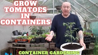 Grow Tomatoes In Containers Small Space Gardening [Gardening Allotment UK] [Grow Vegetables At Home