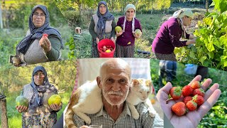 1 Ekim 2025