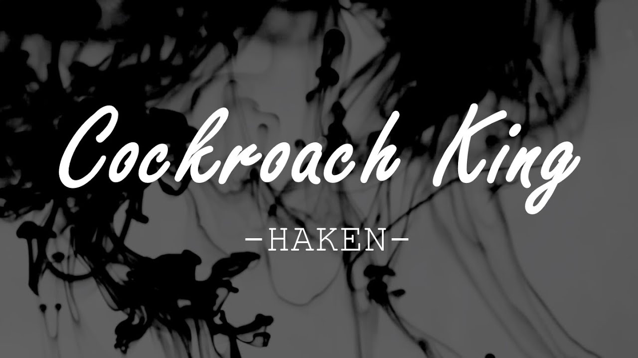 Haken Cockroach King LYRICS YouTube