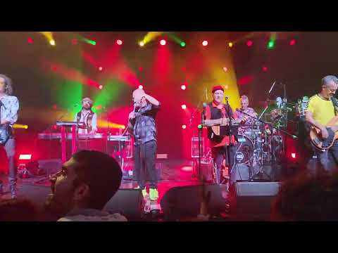 טיפקס יושבים בבית קפה 