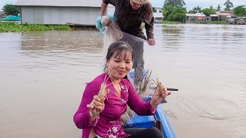 Cùng Anh Bình Ra Sông Lớn Chài Cá Kết Quả Không Ngờ Dính Tôm Càng | HQ #1738