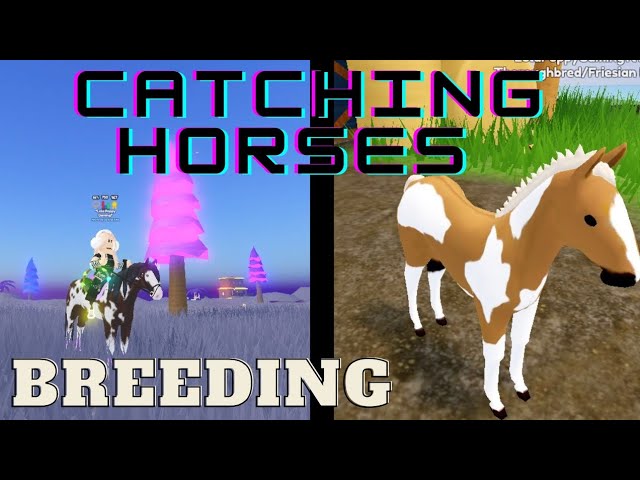 🐝はち🐝  🔴 on X: Playing Wild horse islands on roblox