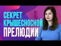 Идеальная прелюдия для незабываемой ночи