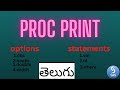 proc print in telugu ||advance sas||procedures in sas||print