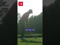 Rory McIlroy's INCREDIBLE eagle shot! 🤯