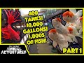 Incredible FISH STORE Tour - Part 1