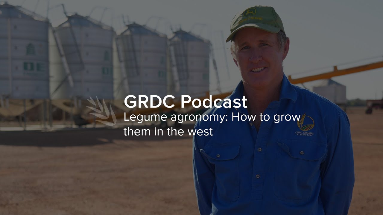 PODCAST Legume agronomy: How to grow them in the west