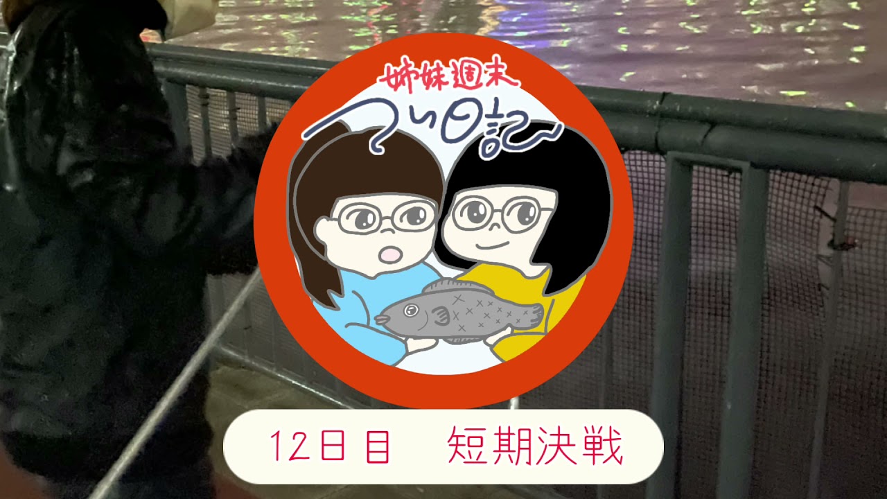 12日目 東京都江東区豊洲ぐるり公園で釣りをする Youtube