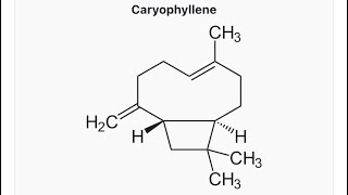 Synthesis of caryophellene