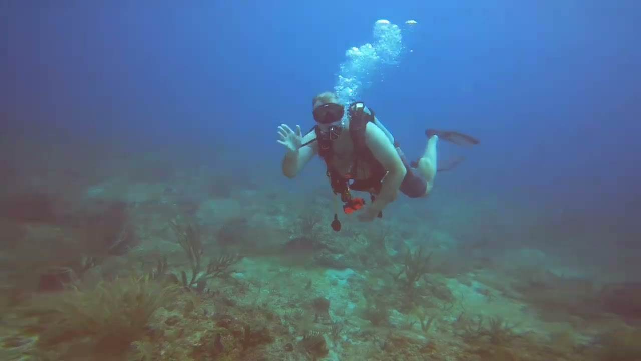 Great dives with Dixie Divers in Pompano Beach. ​