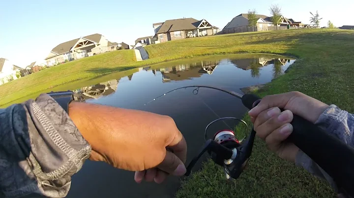 The Bite Was On! Ned Rig and Dropshot Only!