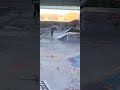 throwin down/bs carve/fs smith/bunker wall to finger/fdrr!please subscribe thank you!!#fdr #skate