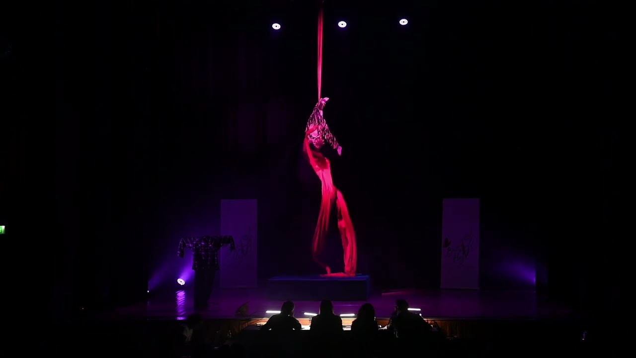 Butterfly Evolution 16-3-25 - Categoria artistic avanzato junior Tessuti - Gaia Selmi