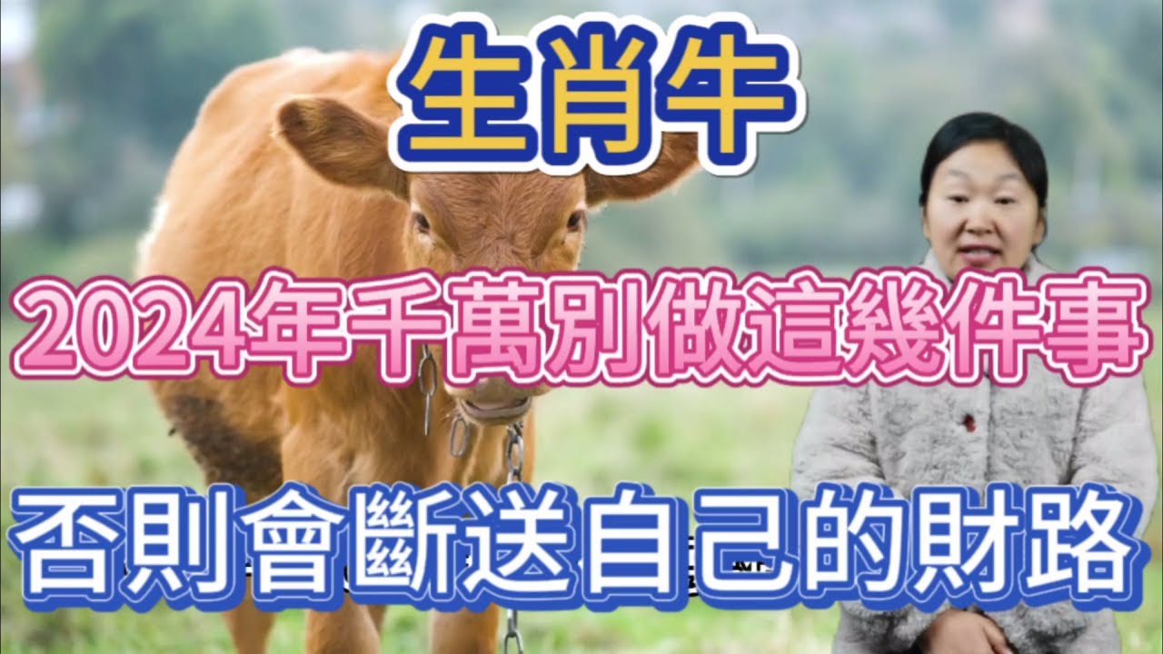 期待已久的牛莉最新电视剧