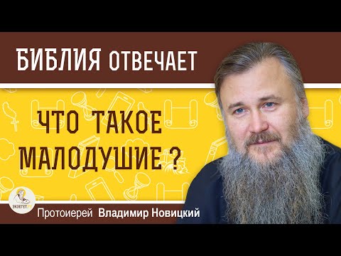 Что такое малодушие ?  Протоиерей Владимир Новицкий