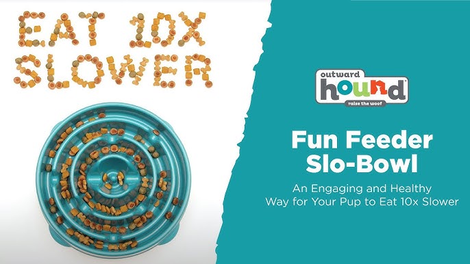 Outward Hound Fun Feeder Slo-Bowl - Teal