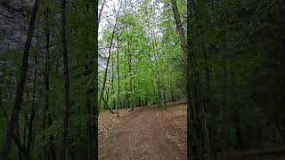 Dendro Park Stepanavan #rekkkkkk