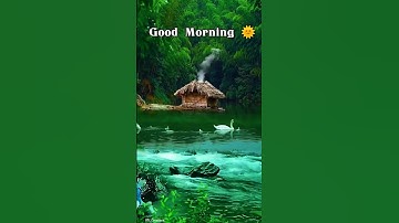 Good Morning 🌞🌹💞 WhatsApp Status || #youtube #nature #shorts #goodmorning ||