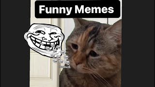 Funny Memes | Lustig Memes|| Subscribe and Share