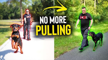 STOP ONMIDDELLIJK met het trekken aan de lijn van welke hond dan ook!