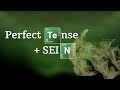Perfect Tense  5 important verbs that take SEIN