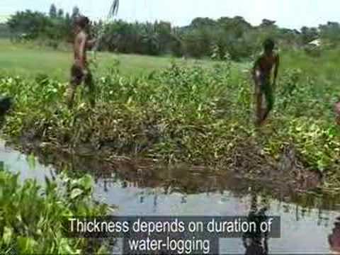 CLACC Bangladesh: BAIRA - The Floating Gardens
