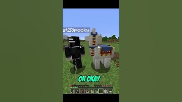 take this Minecraft traders lamas