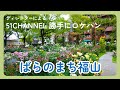 #277_箸休め　ばらのまち福山　広島県　ディレクターによる51CHANNEL勝手にロケハン　ガーデニング　世界バラ会議