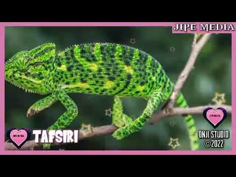 TAFSIRI KUOTA NDOTO KINYONGA CHA KIJANI ISHARA NA MAANA ZAKE