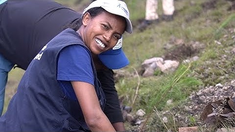 Investment in nature is an investment in the future