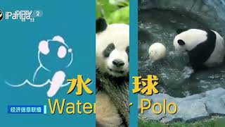 [经济信息联播]成都大运会吉祥物“蓉宝”圈粉无数 深受喜爱| 财经风云