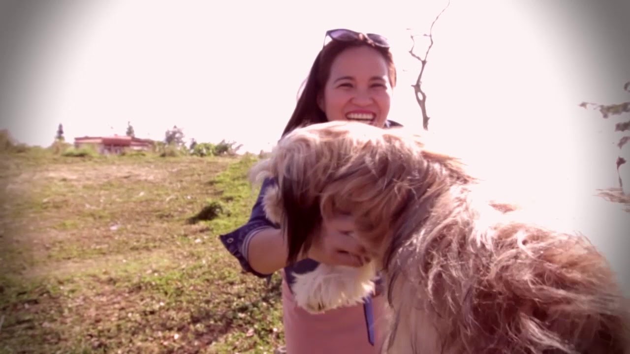 Episode 25 Dog Whisperer YouTube