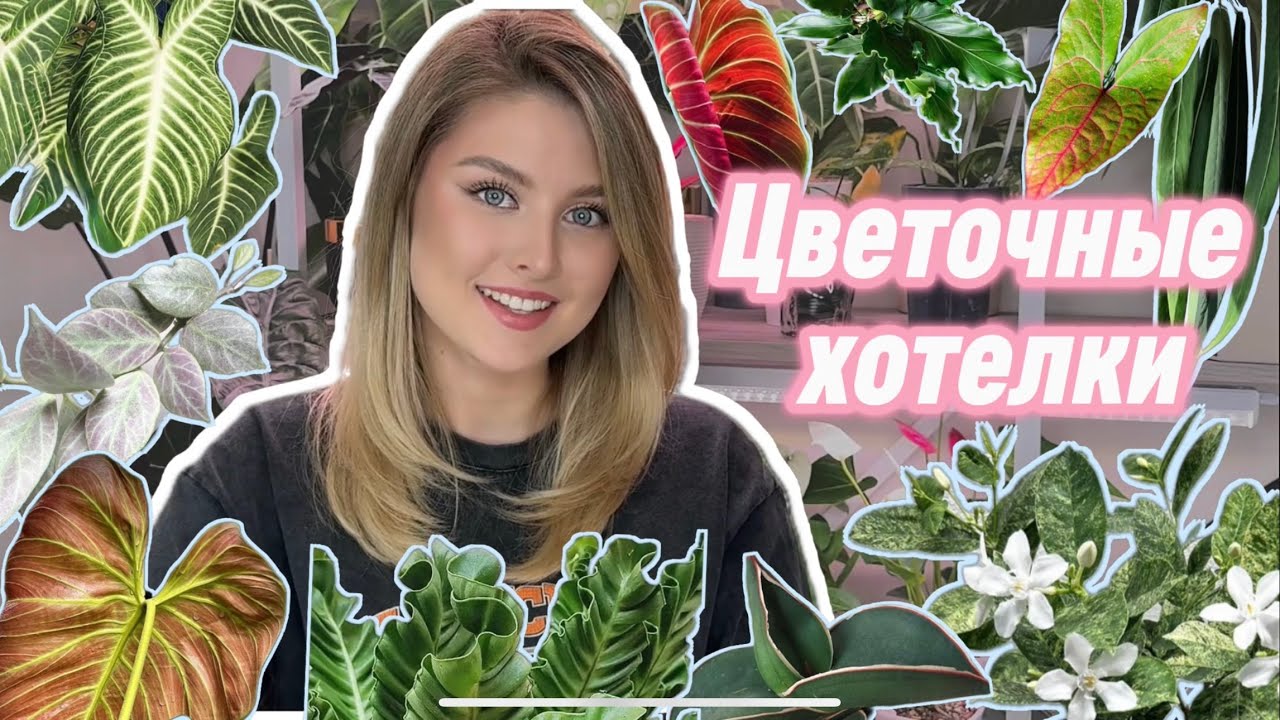 ЦВЕТОЧНЫЙ ВИШЛИСТ: что я ищу для своей коллекции? | МОИ РАСТЕНИЯ-МЕЧТЫ 2025