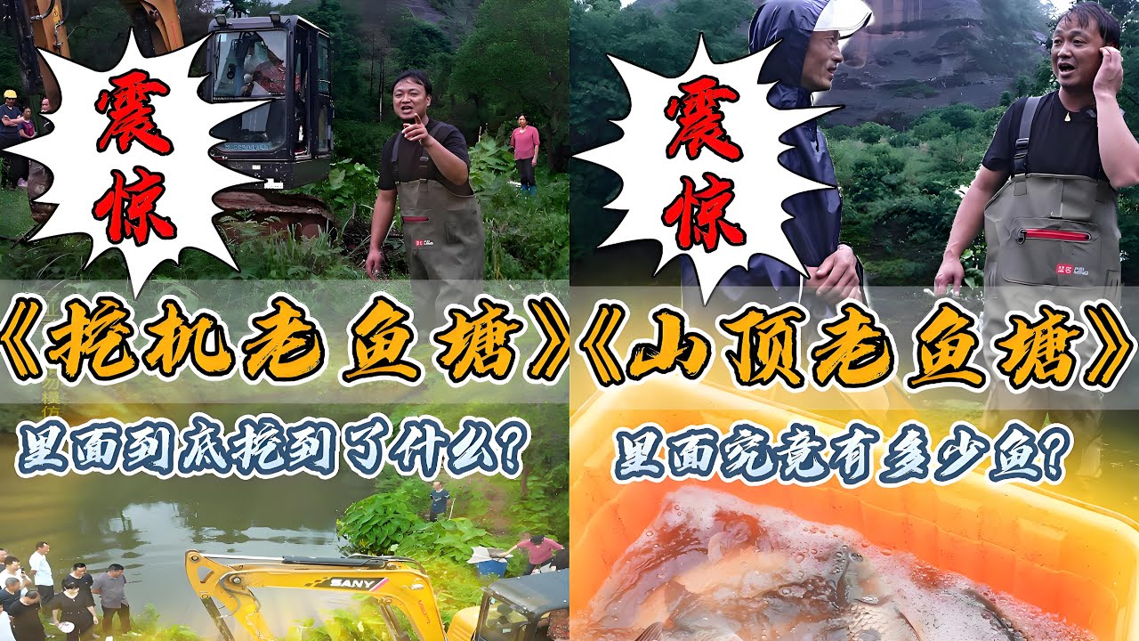 花4200元包下二十年没有干过的老鱼塘，猜猜挖机会挖出什么？｜花1600元包下在山顶的老鱼塘，放干水看看里面能抓到多少鱼？