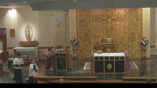 July 5th, 2026  Fourteenth Sunday In Ordinary Time