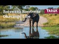 Botswana Rundreise Okavango Lilie Safaris Im Okavango Delta Caprivi Chobe Erleben Filmbuch