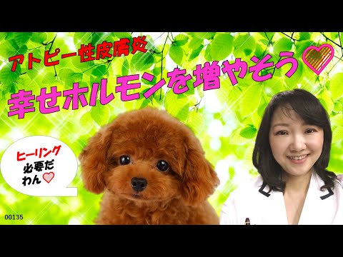 アトピーの改善を進める秘策★◯◯ホルモンを増やして皮膚細胞の修復再生能力を高めよう♪〜アトピーはきっと改善する！