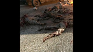 Zombie Go Splat screenshot 5