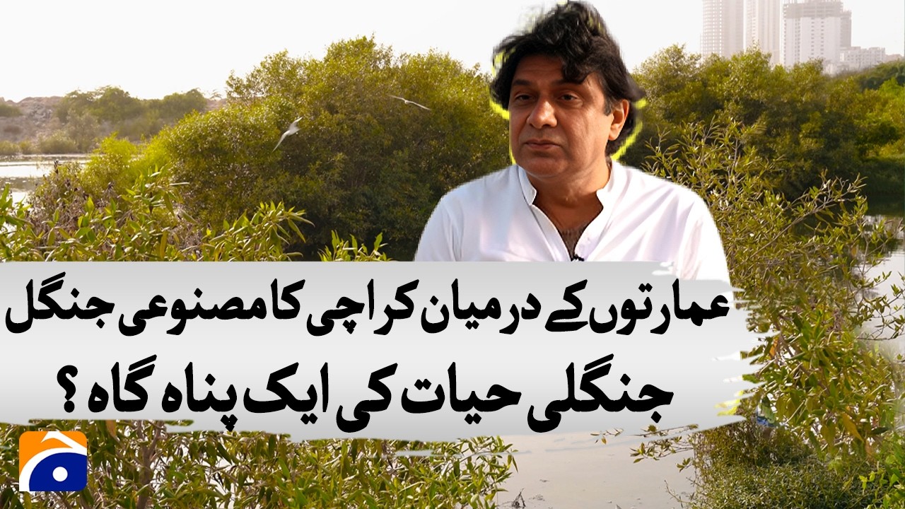 Karachi’s Man-Made Jungle — A Heaven for Wildlife? - Masood Lohar - Geo News