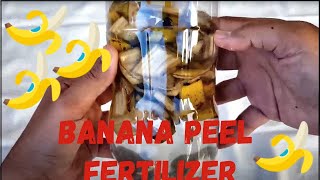 Banana Peel Fertilizer - 5 Days - Quick, Easy & Free - DIY