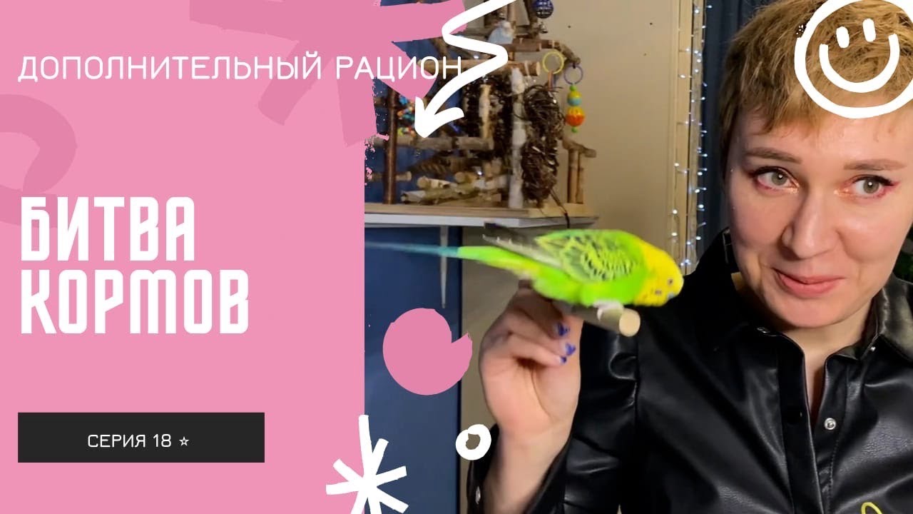 БИТВА КОРМОВ / Зерновые палочки RIO, Happy Jungle, Закрома, Triol/ обзор кормов для волнистиков /ДОП