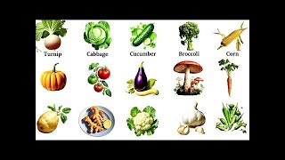 Vegetables Vocabulary Vegetables Name in Englis