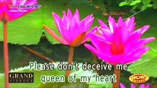 Love buzz-Nirvana(Karaoke)