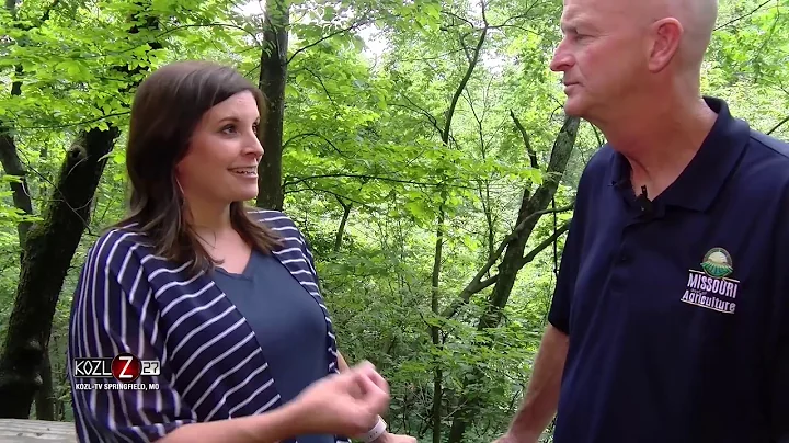 Disease Potential in Feral Hogs