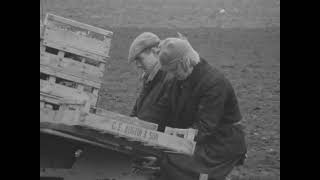1960s Farmers | Farm workers | working on the land | British farms | This Week | 1969