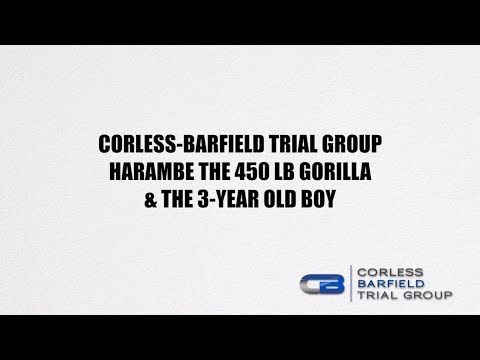 Harambe the Gorilla & the 3 Year Old Boy