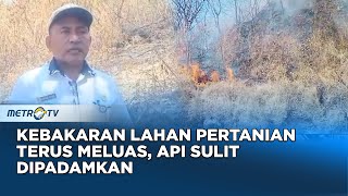Kebakaran Lahan Pertanian Terus Meluas, Api Sulit Dipadamkan