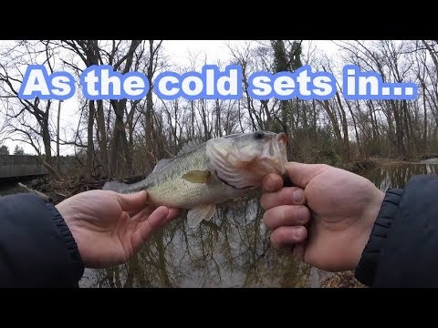 bass fishing at night Late Fall Fishing Success! (Tiny Creek)