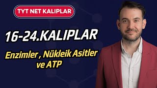 16 - 24.Kalıplar L Tyt Biyoloji L Enzimler L Nükleik Asitler L Atp